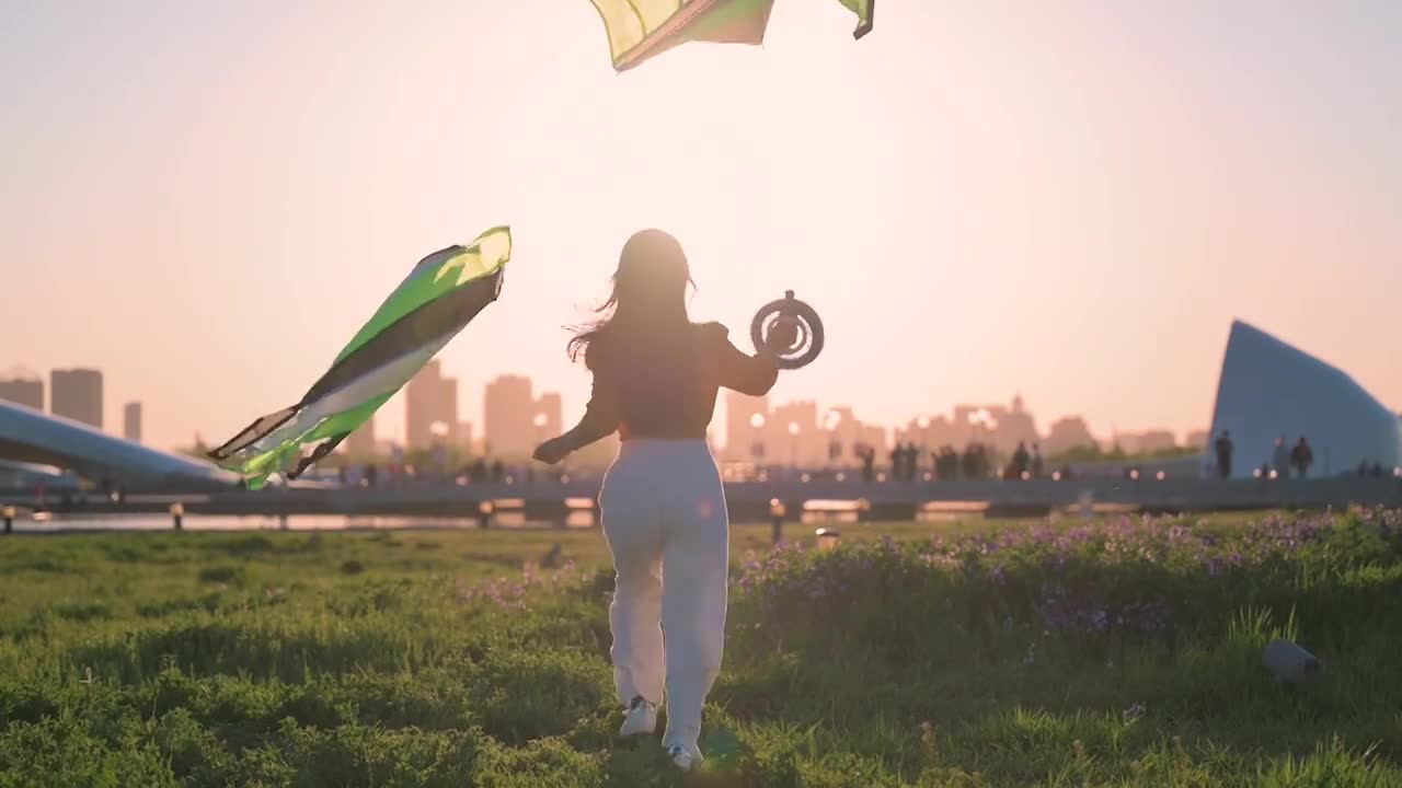 唯美女孩奔跑放风筝花海黄昏日落夕阳视频下载