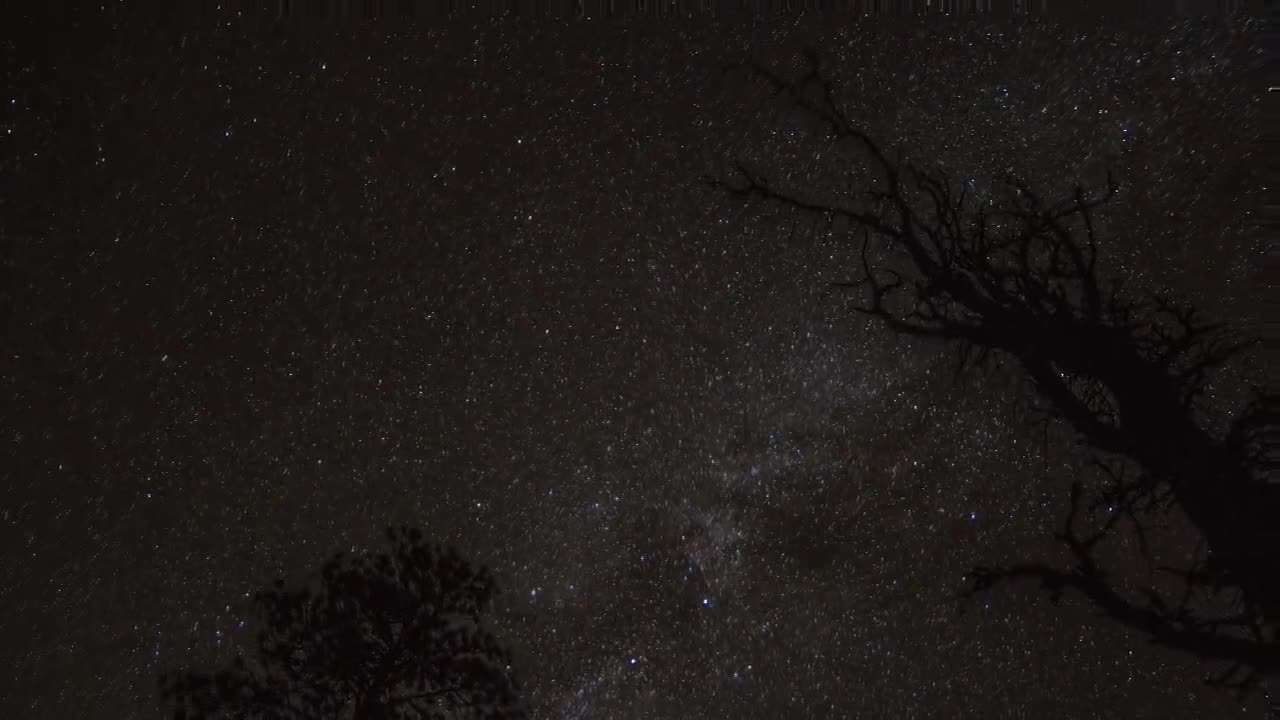 时间推移平移美丽的照片，天空下的树木从晚上到白天-布莱斯峡谷国家公园，犹他州视频素材