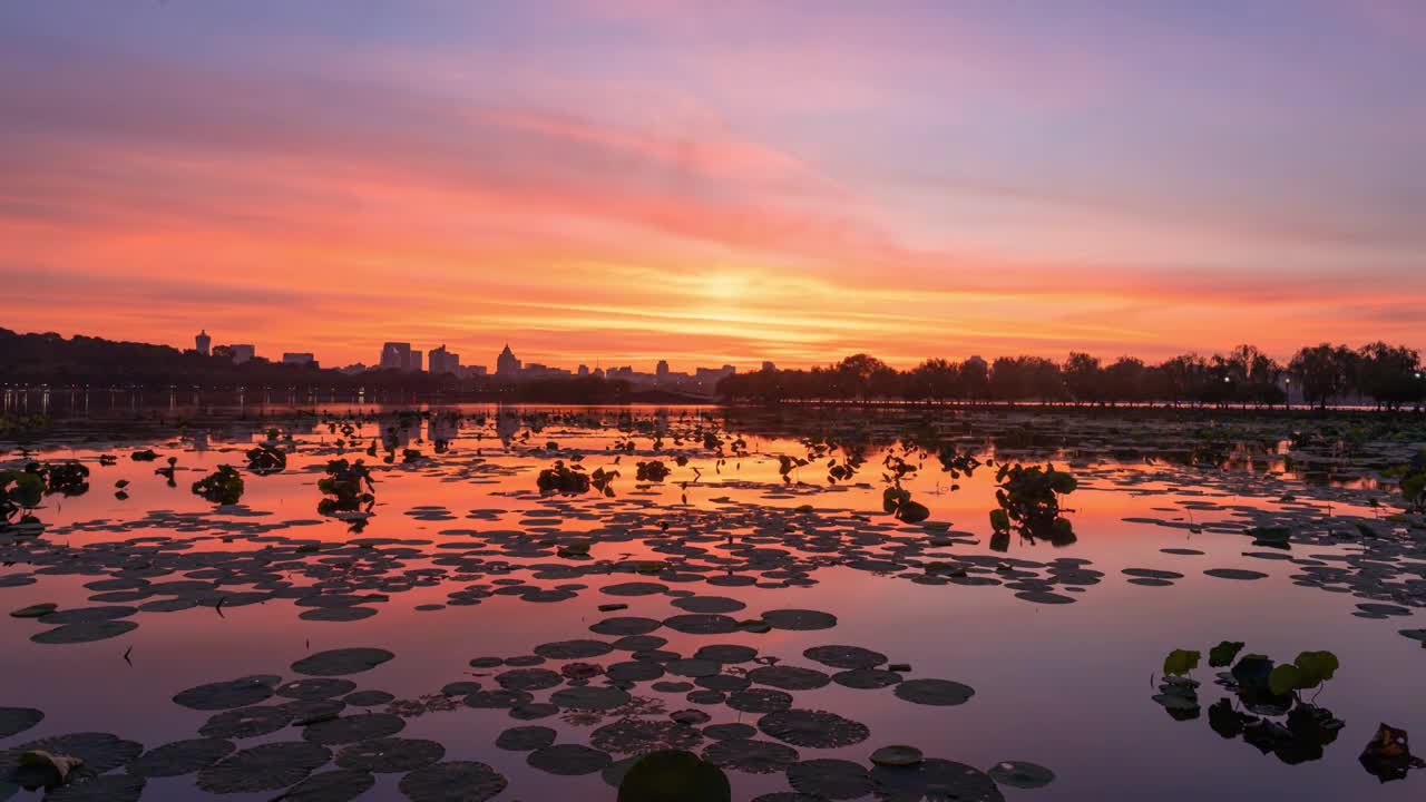 杭州西湖夏季朝霞日出视频下载