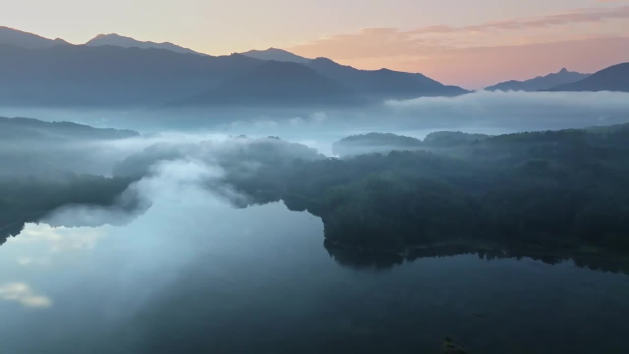 清晨森林湖泊雾气（合集）视频下载