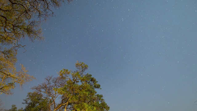 非洲星空延时摄影视频下载