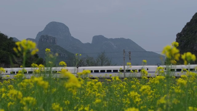 中国广西桂林2020年春天高铁动车穿越油菜花田4K60帧摄影视频素材