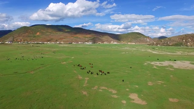 中国云南纳帕海草原航拍视频素材