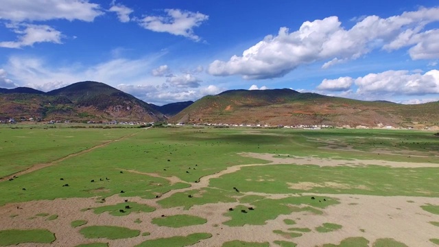 中国云南纳帕海草原航拍视频素材