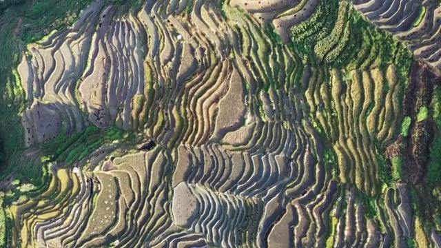 元阳梯田视频素材