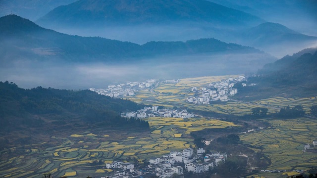 江西上饶市婺源江岭油菜花延时 江岭赏油菜花海 婺源视频素材