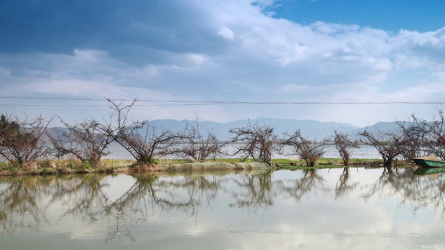 大理西湖湿地景区延时视频视频素材