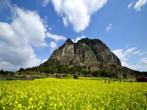 菜籽和三班山/西浦浦，济州岛，韩国视频素材