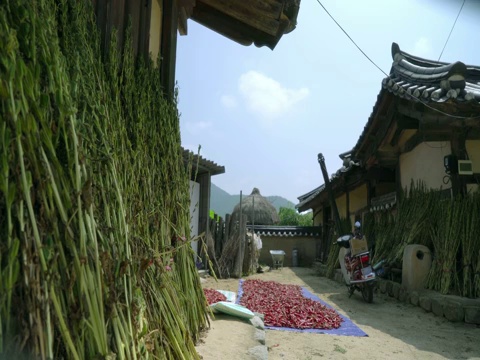 韩国庆尚北道安东浩村的韩屋(韩国传统房屋)和庭院视频素材