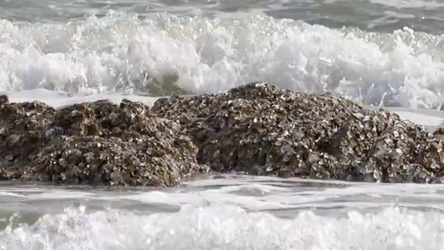 海边自然风光海浪4K视频视频素材