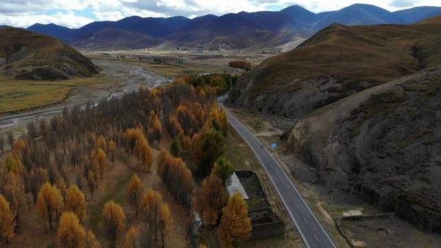 中国四川川西高原稻城色拉乡秋季田野公路旅行风光视频素材