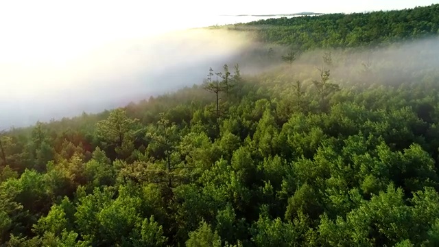 航拍大兴安岭山林云雾升腾视频素材