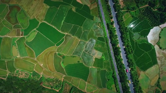 田地视频素材