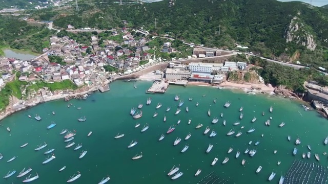 中国嵊泗群岛枸杞岛视频素材