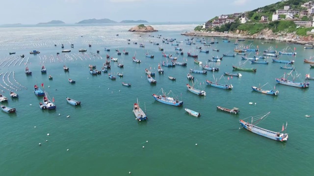 中国嵊泗群岛枸杞岛视频素材