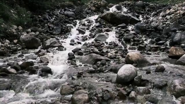 白马雪山水原始森林小溪视频素材