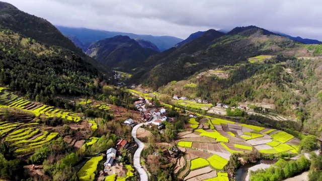 航拍陕西汉中峡谷油菜花风光视频素材