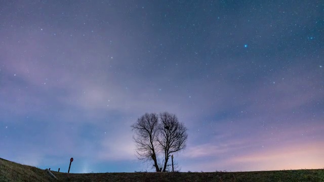 银河星空下孤独的一棵树夜景延时摄影视频素材