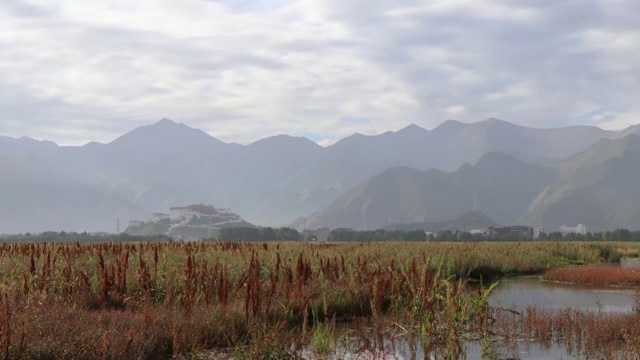 拉萨市拉鲁湿地公园清晨延时摄影视频素材