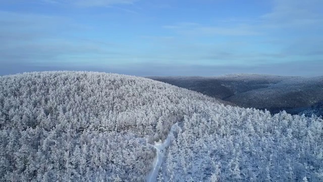 航拍大兴安岭林海雪原风光视频素材