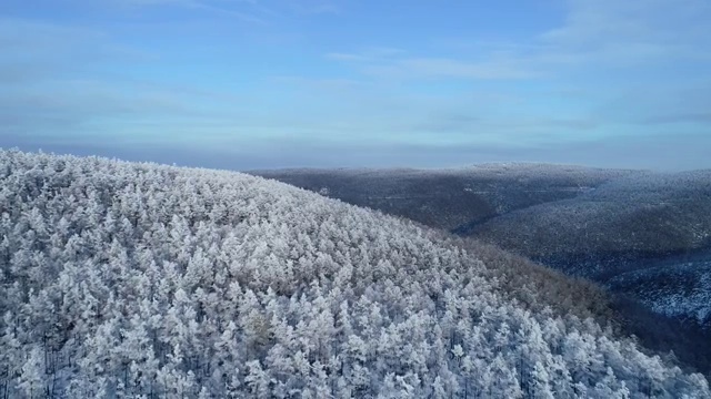 航拍大兴安岭林海雪原风光视频素材