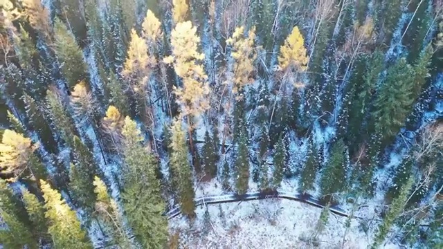 航拍新疆喀纳斯初雪视频素材