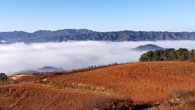 云南念湖天气晴朗云卷云舒，是黑颈鹤迁徙的家园视频下载