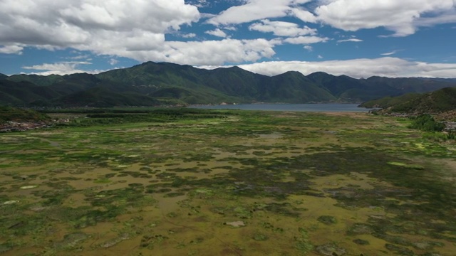 四川凉山州盐源县泸沽湖草海自然风光视频素材