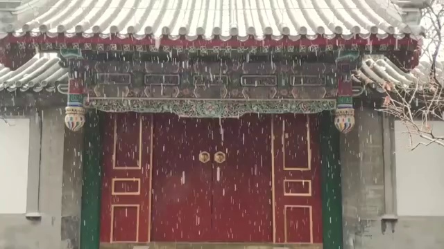 颐和园下雪视频素材