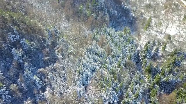 秦岭雪后视频素材