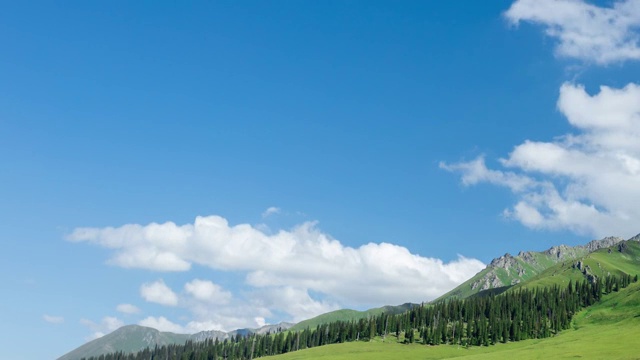 夏季中国新疆那拉提草原景观视频素材