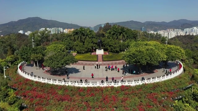 广东省深圳市福田区CBD中心城莲花山公园航拍视频素材