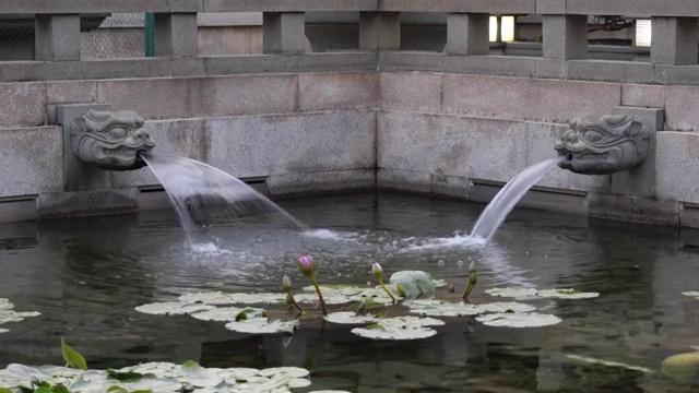 香港南莲园池龙吐水视频下载