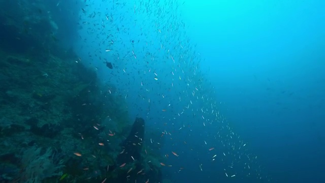 水下摄影神奇神秘的海底世界视频素材