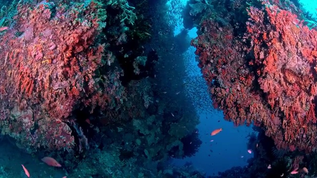 水下摄影神奇神秘的海底世界视频素材