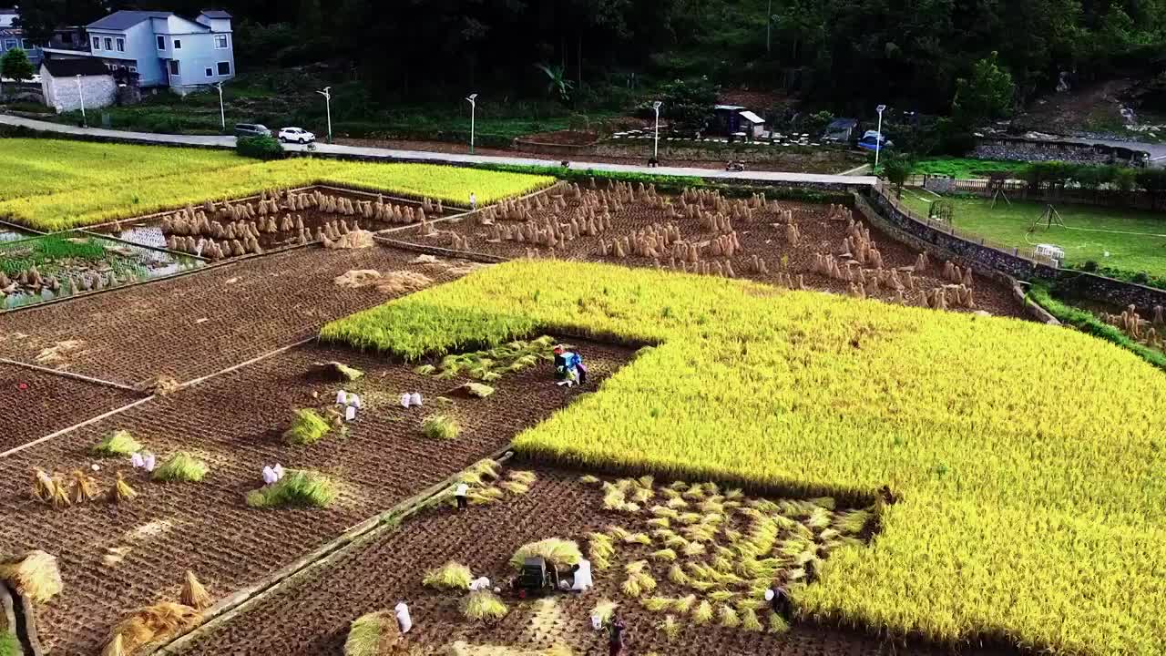 万峰林下纳灰村视频素材