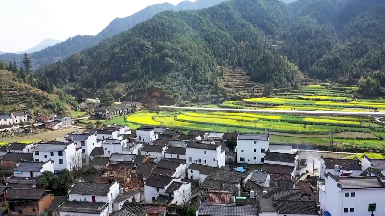 婺源江村春季油菜花海航拍视频素材