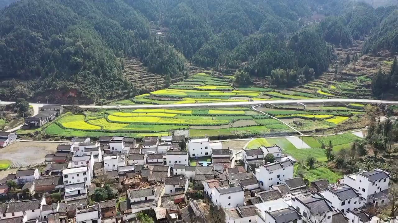 婺源江村春季油菜花海航拍视频素材