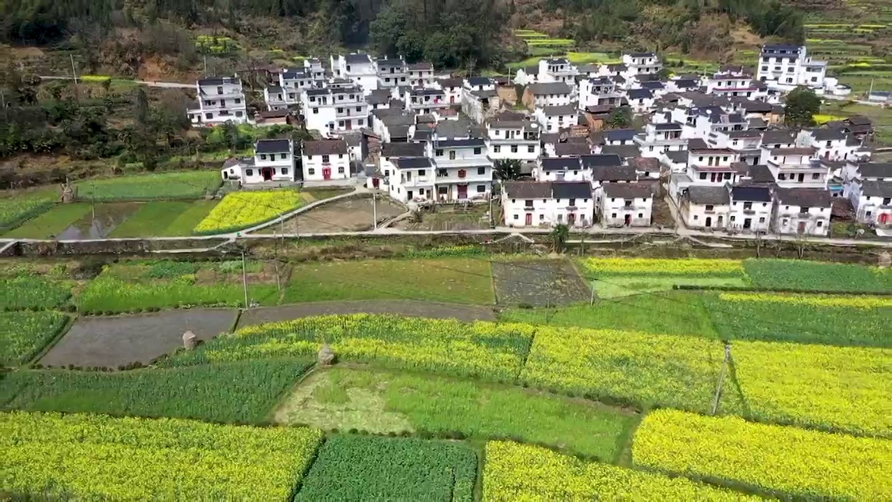 婺源江村春季油菜花海航拍视频素材