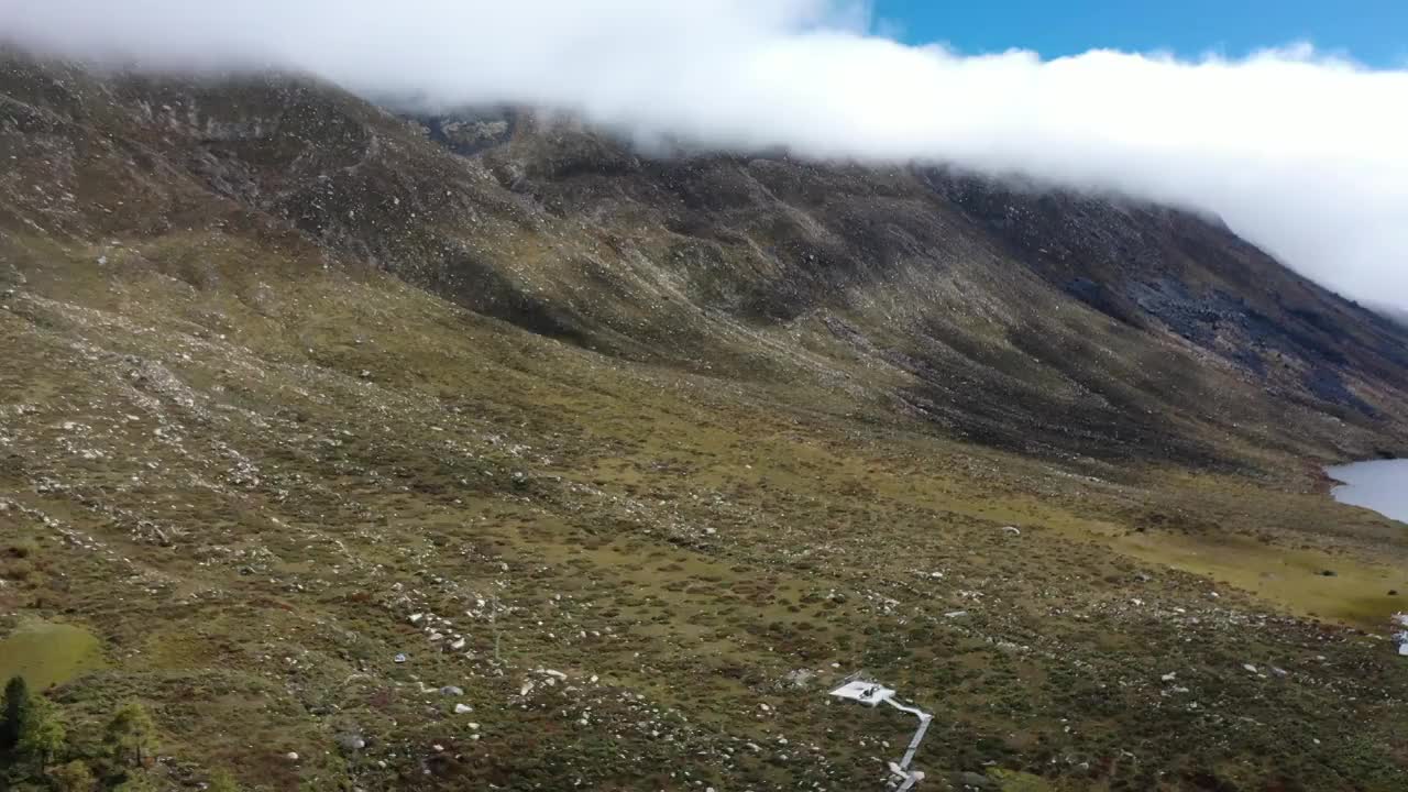 雪域牧场01视频素材