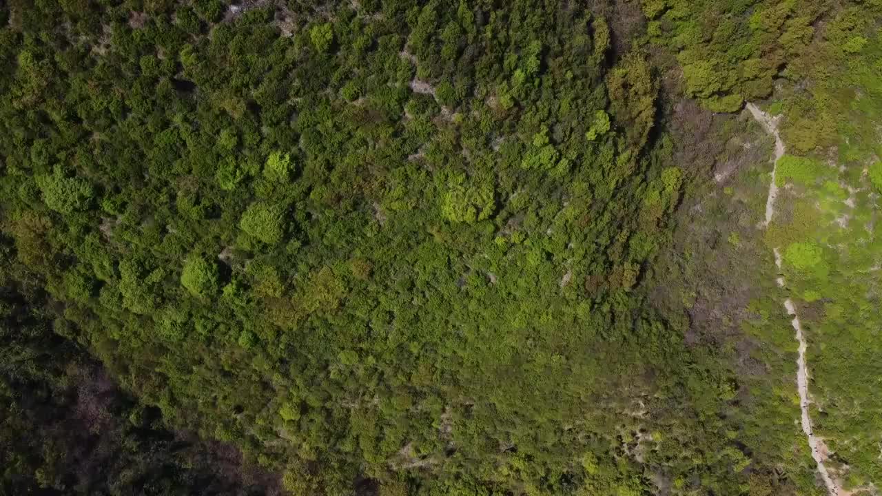 少林寺后山视频素材