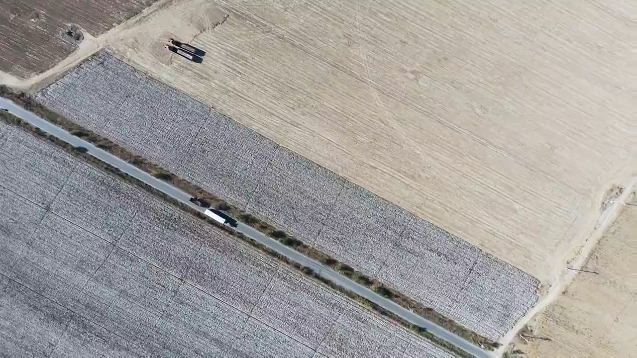 棉花地航拍视频素材