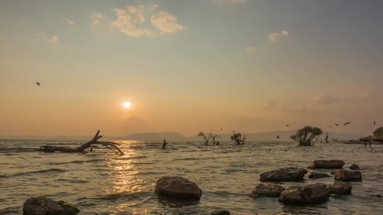 冬季的中国云南昆明滇池湿地落日延时视频素材