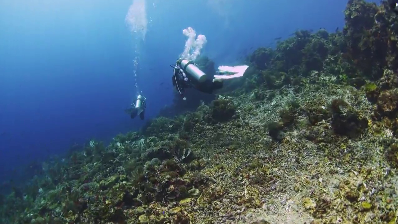 水下摄影潜水员探索神奇的海底世界视频素材