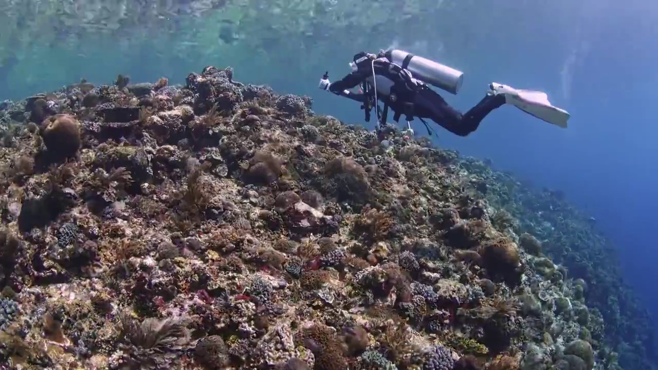 水下摄影潜水员探索神奇的海底世界视频素材