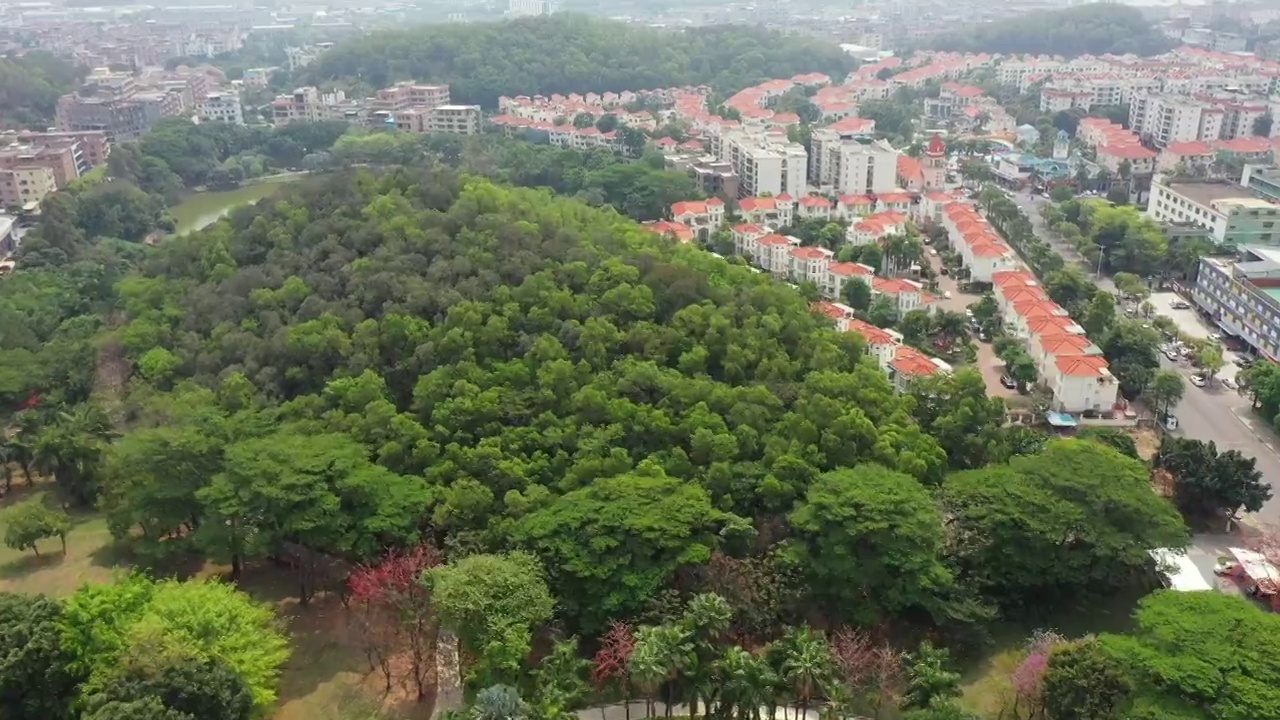 广东省东莞市桥头镇桥头广场航拍视频素材