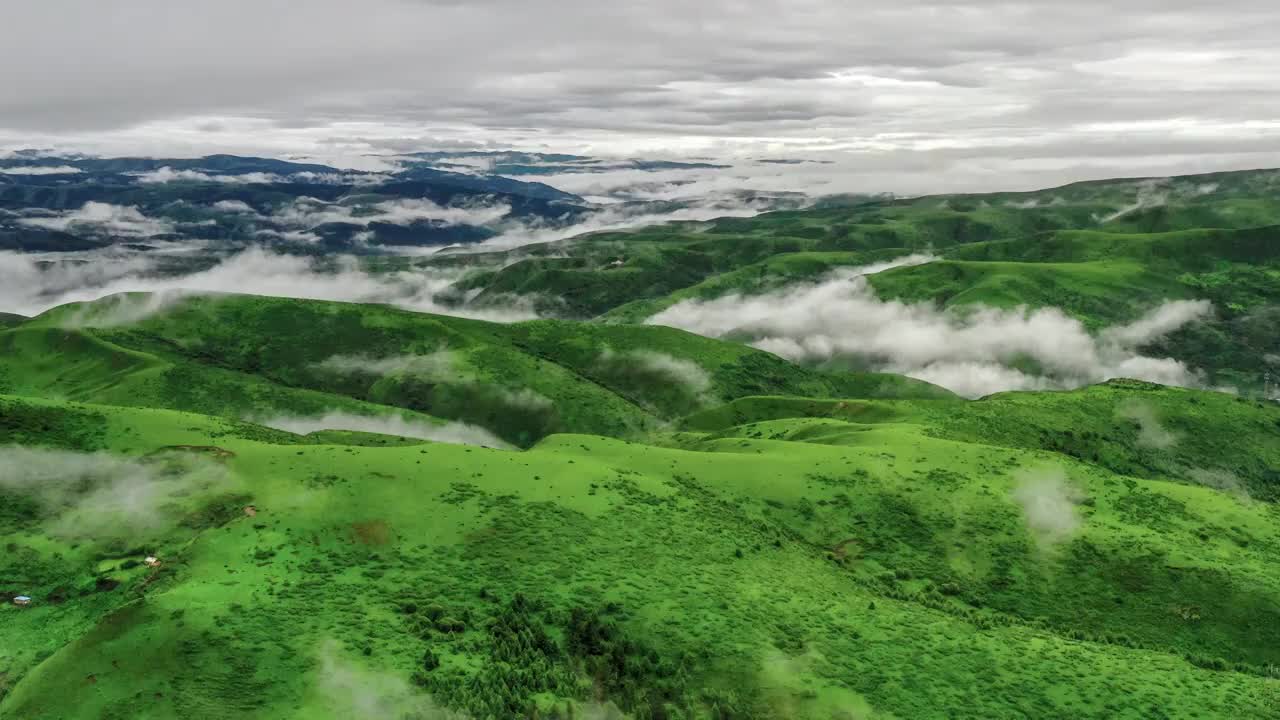 四川阿坝红原草原风光视频素材