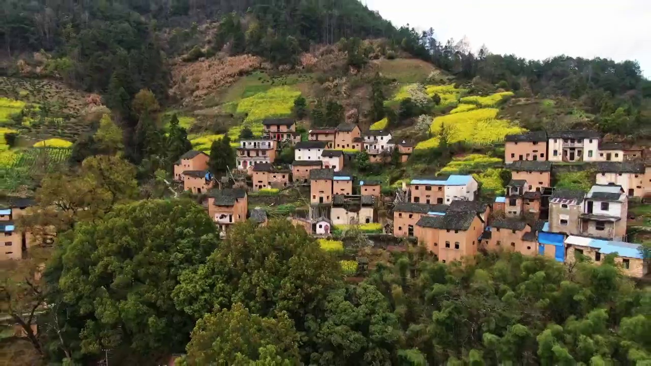 航拍安徽皖南绩溪土楼古村落油菜花视频素材