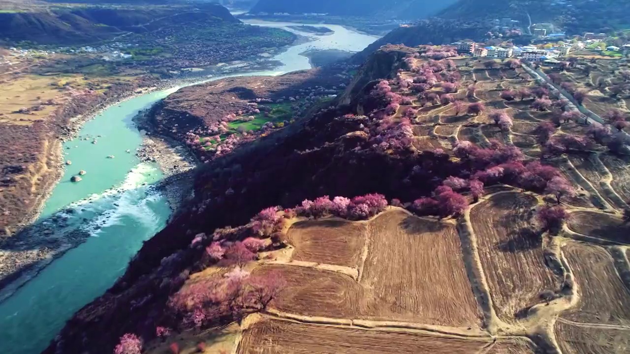 西藏林芝波密桃花视频素材