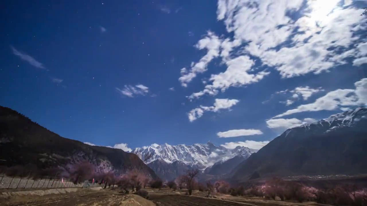 西藏林芝波密桃花视频素材